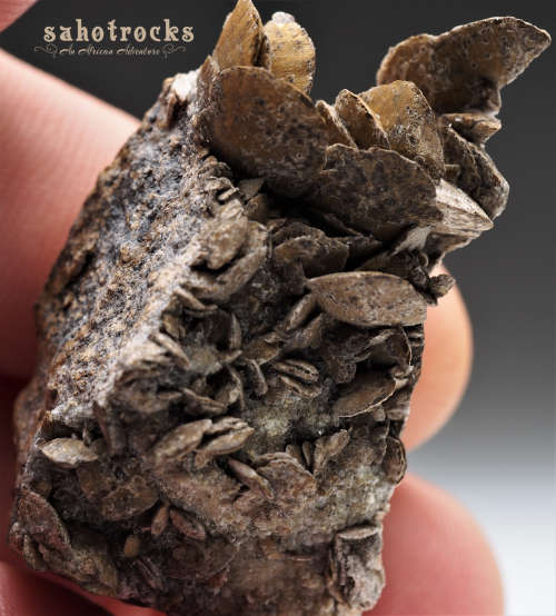 Siderite, Calcite, Quartz - Gobobosep, Namibia