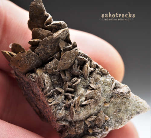 Siderite, Calcite, Quartz - Gobobosep, Namibia