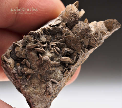 Siderite, Calcite, Quartz - Gobobosep, Namibia