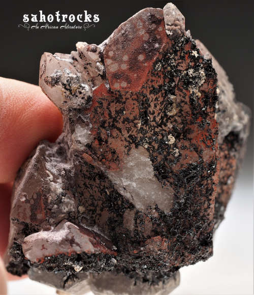 Floater Quartz Crystal with Hematite - Orange River Region, Kalahari, South Africa