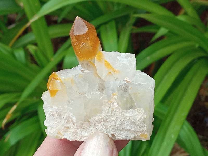Golden Quartz, goethite smoky, Northern Cape, South Africa 79g 5 x 4.9 x 3.4cm Golden Healer crystal