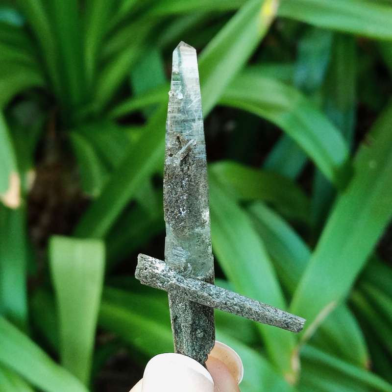 Riebeckite Aegirine included quartz cross - Mt Malosa, Zomba plateau, Malawi 52 mm