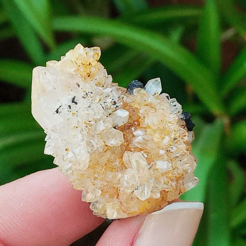 Citrine Hematite Quartz 3.5cm, - golden healer ,Northern Cape, South Africa 20 grams