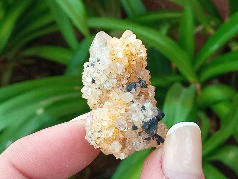 Citrine Hematite Quartz 3.5cm, - golden healer ,Northern Cape, South Africa 20 grams