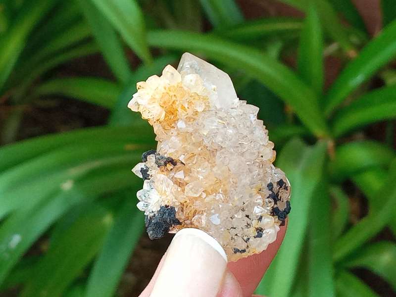 Citrine Hematite Quartz 3.5cm, - golden healer ,Northern Cape, South Africa 20 grams