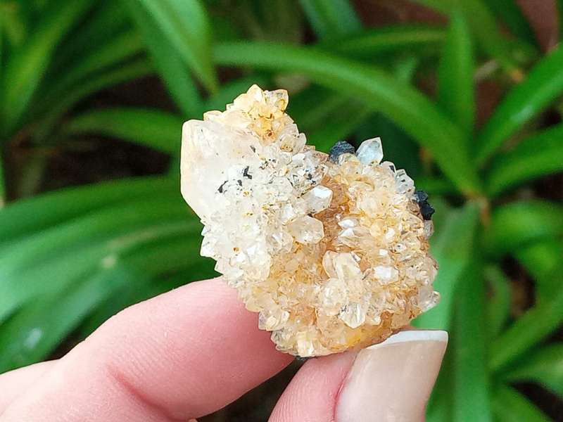 Citrine Hematite Quartz 3.5cm, - golden healer ,Northern Cape, South Africa 20 grams