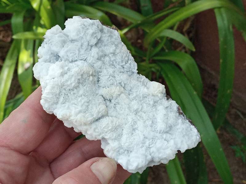 Aragonite Calcite 10.4cm druse white quartz CAVE STONE - Rand London Quarry, South Africa 146 grams