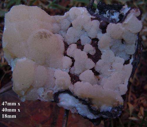 Kalahari manganese fields calcite and goethite crystals on matrix-south africa-42g