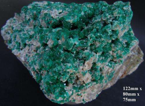 Tsumeb mine dioptase crystals on matrix-namibia-522g