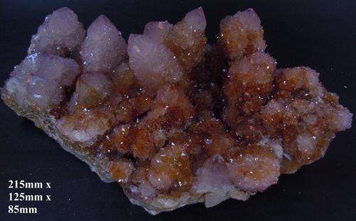 Boekenhouthoek cactus quartz crystal cluster-south africa-1788g
