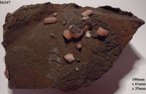 Kalahari manganese fields olmiite crystals on matrix-South Africa-195gram
