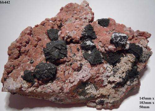 Kalahari manganese fields hausmanite and andradite garnet crystals on matrix-South Africa-729gram