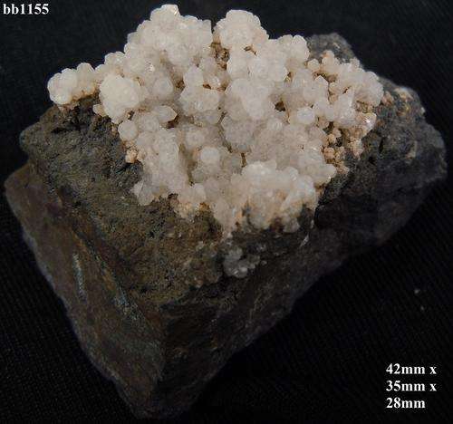 Kalahari manganese fields manganocalcite crystals on matrix-South Africa-51gram