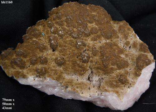 Kalahari manganese fields goethite on manganocalcite crystal cluster-South Africa-173gram
