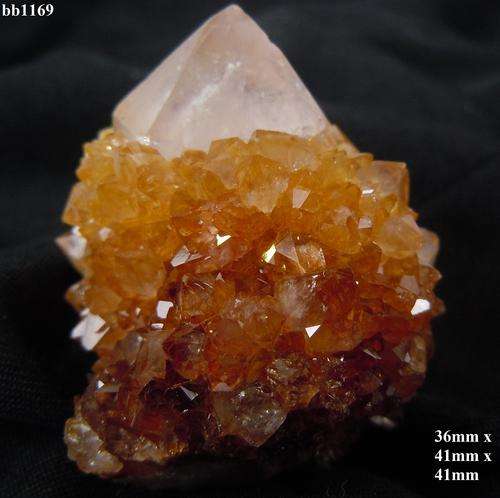 Boekenhouthoek cactus quartz crystal cluster-South Africa-44gram