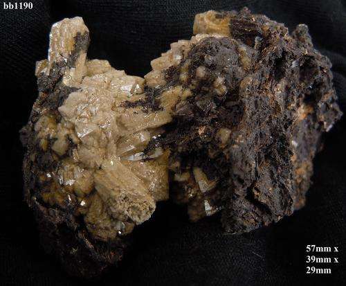 Kalahari manganese fields olmiite crystals on matrix-South Africa-25gram
