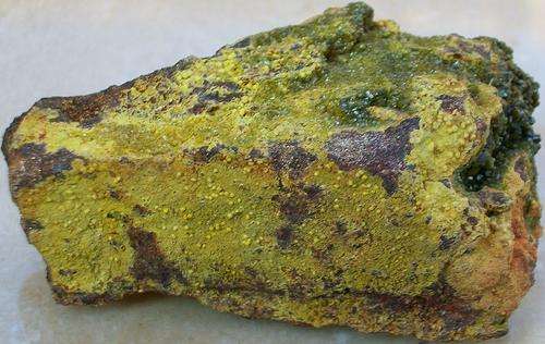 Mapimi durango pyromorphite and mimetite crystals on matrix-mexico-67g