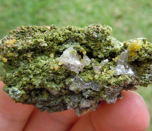 Tsumeb mine cerrussite and mimetite crystals on matrix-namibia-32g