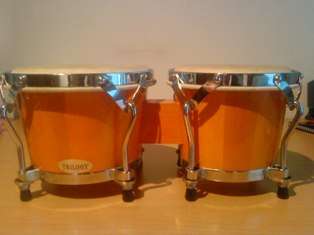Bongo Drums
