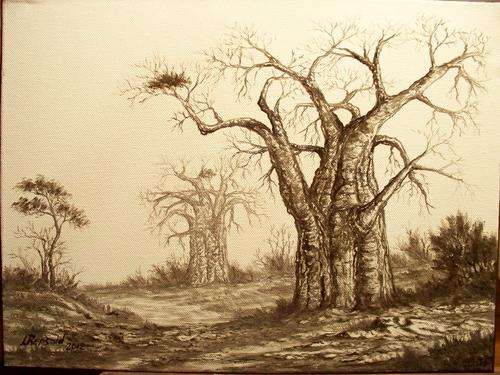 Baobabs- by Louise Repsold (305x405mm)