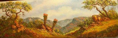 S.A.Scenes by Louise Repsold