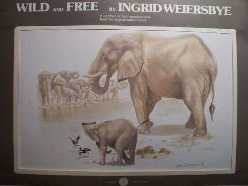Set  of 4 signed prints by renowned artist  Ingrid Weiersbye(Reduced!)
