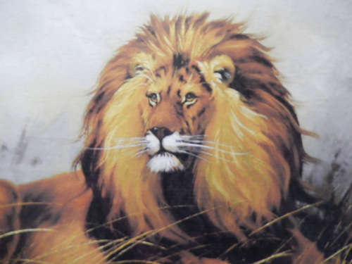 Lion Majesty - Wildlife Acrylic Painting on Canvas by Dr. Michael Durst