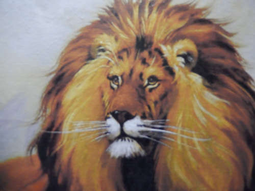 Lion Majesty - Wildlife Acrylic Painting on Canvas by Dr. Michael Durst