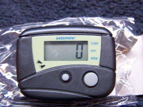 PEDOMETER