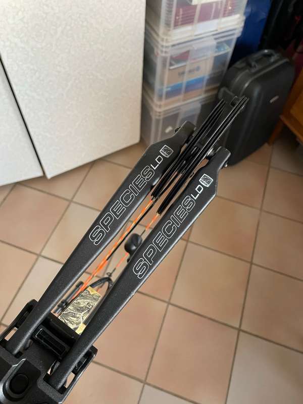 BEAR EDGE Species LD Left Handed Bow for sale