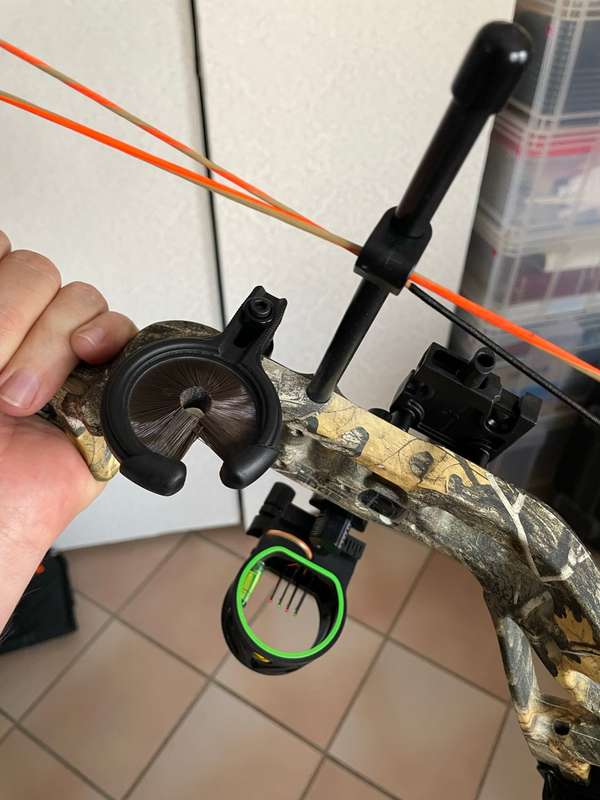 BEAR EDGE Species LD Left Handed Bow for sale