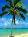 ***7-day Holiday Voucher***