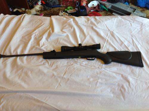 Gamo shadow