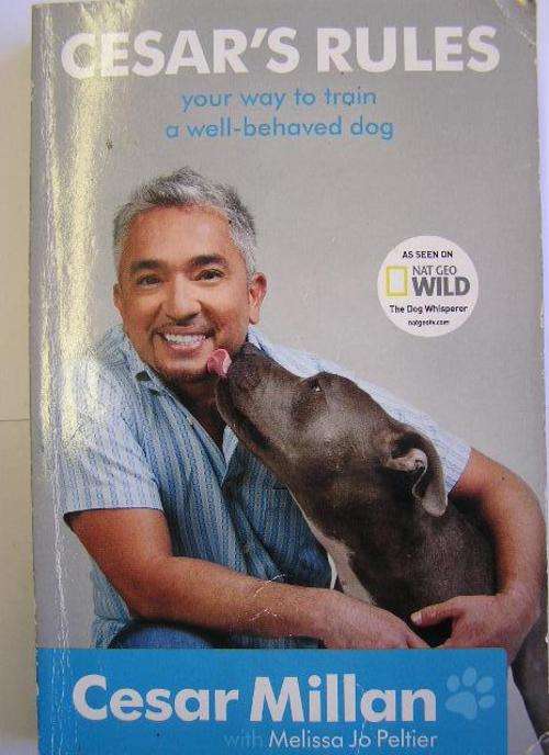 Cesar's Rules Dog Training Cesar Millan "The Dog Whisperer" Hodder 2011 publication Paperback