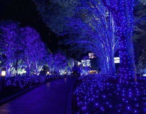 100 LED Blue Christmas/Party Lights - 10m Long