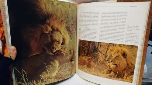 Set of 8 classic Africana Books
