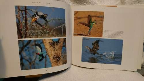 Set of 8 classic Africana Books