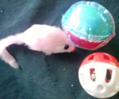 Adorable cat toy set (8)