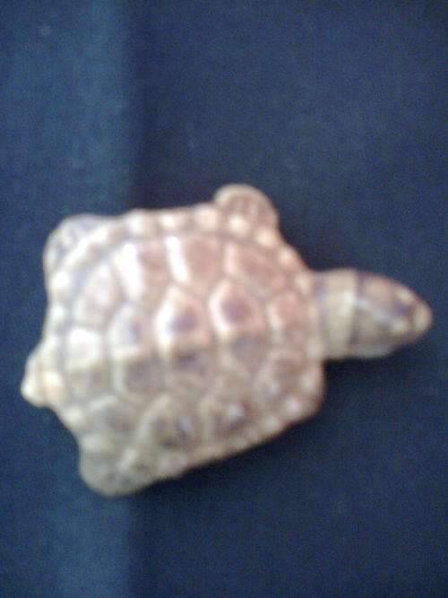 Wade Tortoise