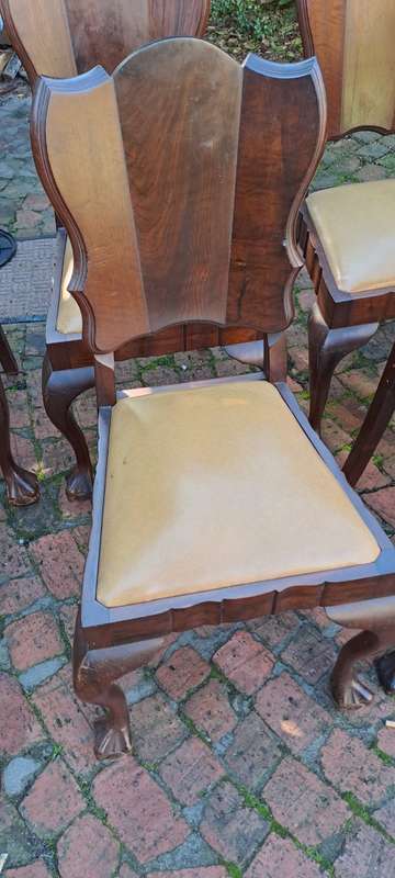 Imbuia Ball and Claw Dining Chairs