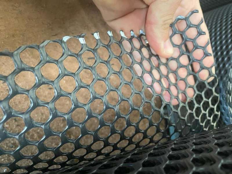 Plastic Garden Chicken wire mesh fencing - Black