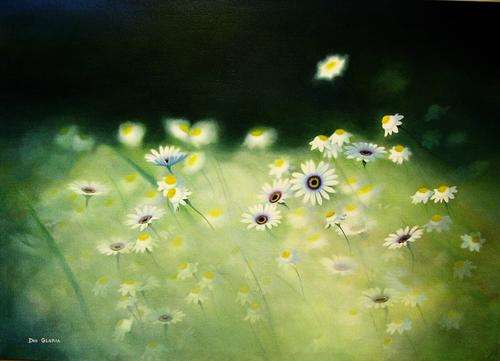 Wild Flowers