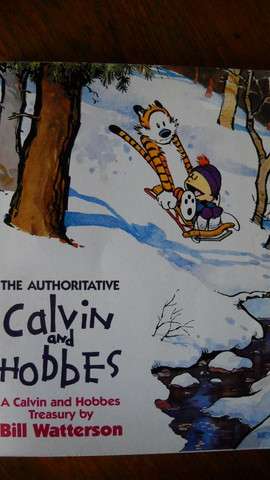 COMICS  The Authoritative CALVIN and HOBBES A Calvin and Hobbes Treasury by Bill Watterson