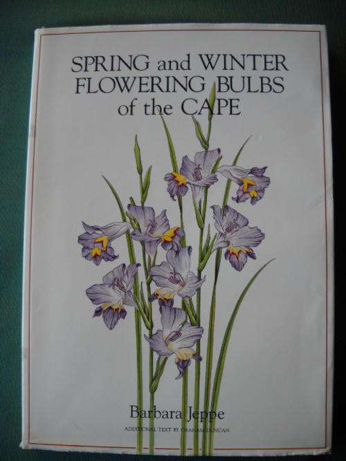 BARBARA  JEPPE  Spring and Winter Flowering Bulbs of the Cape  First edition 1989