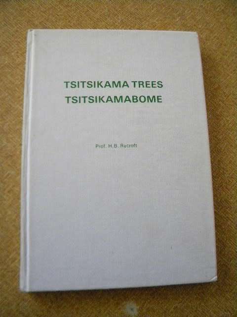 TSITSIKAMA TREES / TSITSIKAMABOME  deur H. B. Rycroft