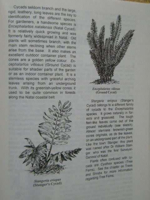 BRING NATURE BACK TO YOUR GARDEN  by Charles & Julia Botha  Illustrations: Eve Gibbs