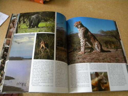 THIS IS SOUTH AFRICA  by August Sycholt & Peter Schirmer