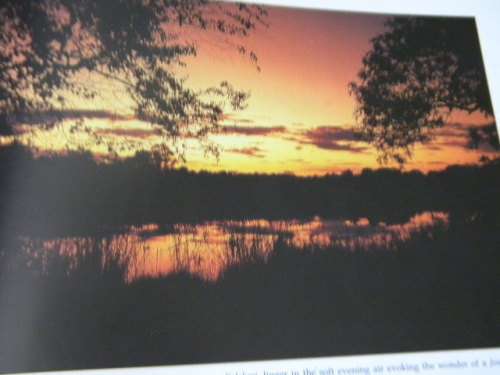 JOURNEY THROUGH NAMIBIA  by Mohamed Amin, Duncan Willetts and Tahir Shah