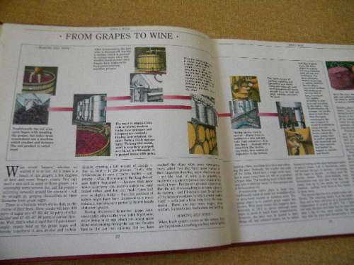 SAINSBURY`S BOOK OF WINE  by Oz Clarke