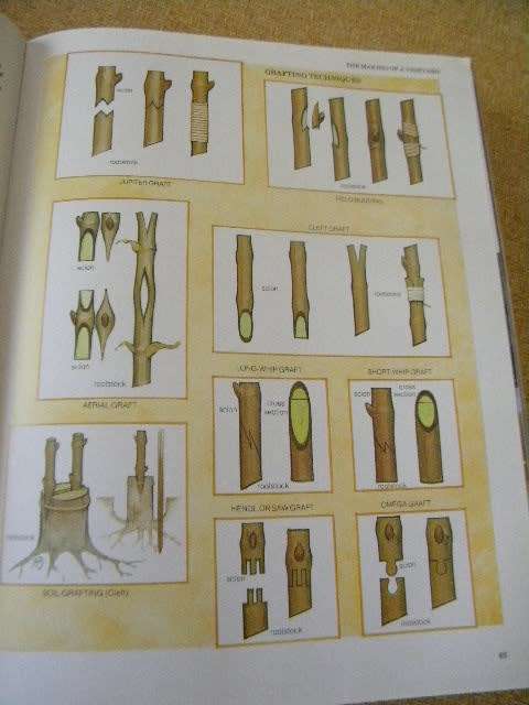 SOUTH AFRICAN WINES Text: John Kench, Phyllis Hands, David Hughes Photography: Cloete Breytenbach
